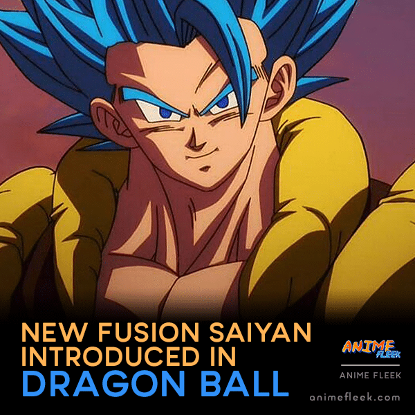 New Fusion Saiyan Introduced In Dragon Ball